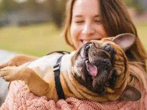playground para cachorros